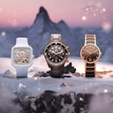 Rado Winter
